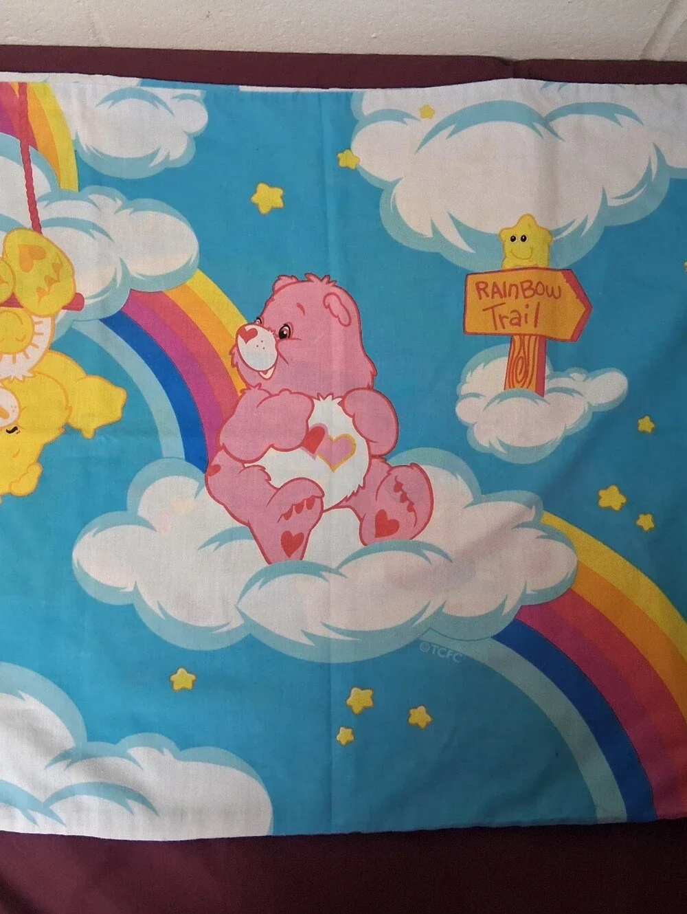 Care Bears And Rainbows Standard Size Pillowcase.